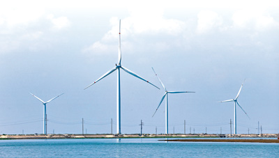 圆梦1980：东营：乘势而上引“风”来